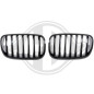 Griglia radiatore BMW X5 (E70) 07-10 (Cod. D-1291440)