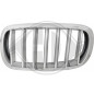 Griglia radiatore BMW X5 (F15) 13- (Cod. D-1293043)