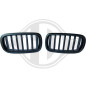 Griglia radiatore BMW X5 (F15) 12- (Cod. D-1293340)