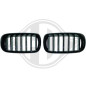 Griglia radiatore BMW X5 (F15) 12- (Cod. D-1293440)