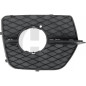 Griglia di ventilazione Paraurti Dx BMW X6 (E71) 08-14 (Cod. D-1295248)