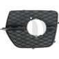 Griglia di ventilazione Paraurti Sx BMW X6 (E71) 08-14 (Cod. D-1295249)