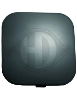 Mostrina Paraurti Ford Focus III 08-10 (Cod. D-1417666)