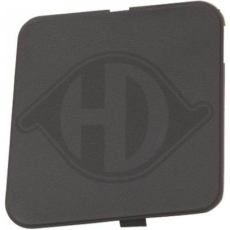 Mostrina Paraurti Ford Transit Connect 02-06 (Cod. D-1454653)
