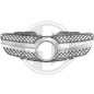 Griglia radiatore Mercedes SL R230 01-12 (Cod. D-1600540)