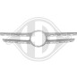 Modanatura decorativa / protettiva Griglia radiatore Mercedes classe E E220-500 W213 16-20 (Cod. D-1