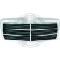 Griglia radiatore Mercedes 190E/D(W201) 82-93 (Cod. D-1620040)