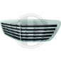 Griglia radiatore Mercedes classe S W221 05-09 (Cod. D-1647040)