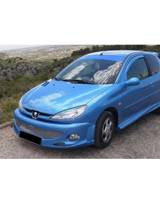 Paraurti Anteriore Peugeot 206 GT (Cod. E-TCP2948)