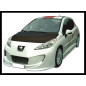 Paraurti Anteriore Peugeot 207 (Cod. E-TCP6396)