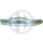 Indicatore direzione anteriore sinistro Nissan Interstar 99-03 (Cod. D-1885073)