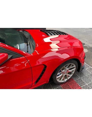 Parafanghi Anteriori Ford Mustang 2010-2014 look GT500 (Cod. E-TCF6321)