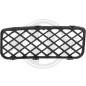 Griglia di ventilazione Paraurti anteriore Dx Volkswagen Touareg 02-06 (Cod. D-2285842)
