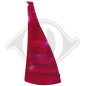 Luce posteriore Dx Citroen C3 02-05 (Cod. D-4005090)