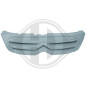 Griglia radiatore Citroen C3 05-09 (Cod. D-4005140) Griglia radiatore Citroen C3 05-09 (Cod. D-4005140)
