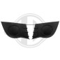 Griglia di ventilazione Paraurti anteriore Renault Clio 05-09 (Cod. D-4414046)