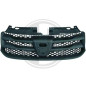 Griglia radiatore Dacia Logan Berlina/Station wagon MCV 13-16 (Cod. D-4456040)