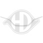 Mostrina Griglia radiatore Renault Scenic 16- (Cod. D-4467442)