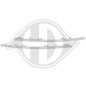 Modanatura decorativa / protettiva Griglia radiatore Renault Scenic 16- (Cod. D-4467443)