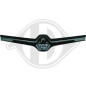 Mostrina Griglia radiatore Renault Twingo 12-14 (Cod. D-4482041)