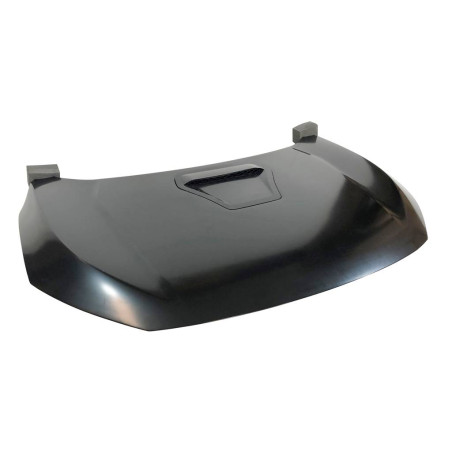 Cofano Honda Civic 2016-2020 Look Type R Metal (Cod. E-TCHO149)