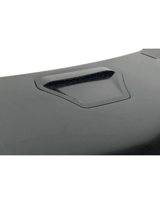 Cofano Honda Civic 2016-2020 Look Type R Metal (Cod. E-TCHO149)