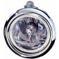 Fendinebbia destro Hyundai Santa Fe 00-06 (Cod. D-6870088)