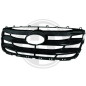 Griglia radiatore Hyundai Santa Fe 10-11 (Cod. D-6871140)