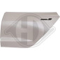 Portiera Carrozzeria posteriore sinistra Tesla Model 3 18- (Cod. D-7930023)