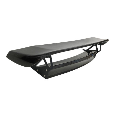 Portellone Carbonio Porsche 981 2013-2016 Con Alettone (Cod. E-PORTPO981)