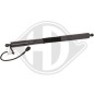 Ammortizatore pneumatico Cofano bagagli /vano carico BMW X3 (G01) 17- (Cod. D-9100559)