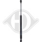 Ammortizatore pneumatico Cofano bagagli /vano carico BMW serie 3 (E46) Coupe/Cabrio 99-03 (Cod. D-91