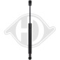 Ammortizzatore pneumatico Cofano motore BMW X3 (E83) 03-06 (Cod. D-9127501)