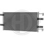 Condensatore Climatizzatore Nissan Primastar 01-06 (Cod. D-DCC1342)