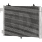 Condensatore Climatizzatore Citroen C2 03-08 (Cod. D-DCC1755)