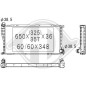 Radiatore Raffreddamento motore BMW serie 5 (E39) 00-03 (Cod. D-DCM1556)