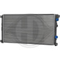 Radiatore Raffreddamento motore Nissan Interstar 03-10 (Cod. D-DCM2930)
