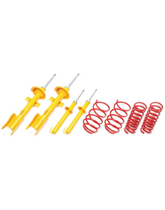 Assetto sportivo Alfa Romeo 147 fino a 1000kg carico ant. 937 30/30mm (Cod. T-*EVOAL022)