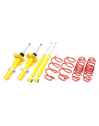 Assetto sportivo Audi A1 fino a 860kg carico ant. 8X 20/20mm (Cod. T-*EVOAU201)